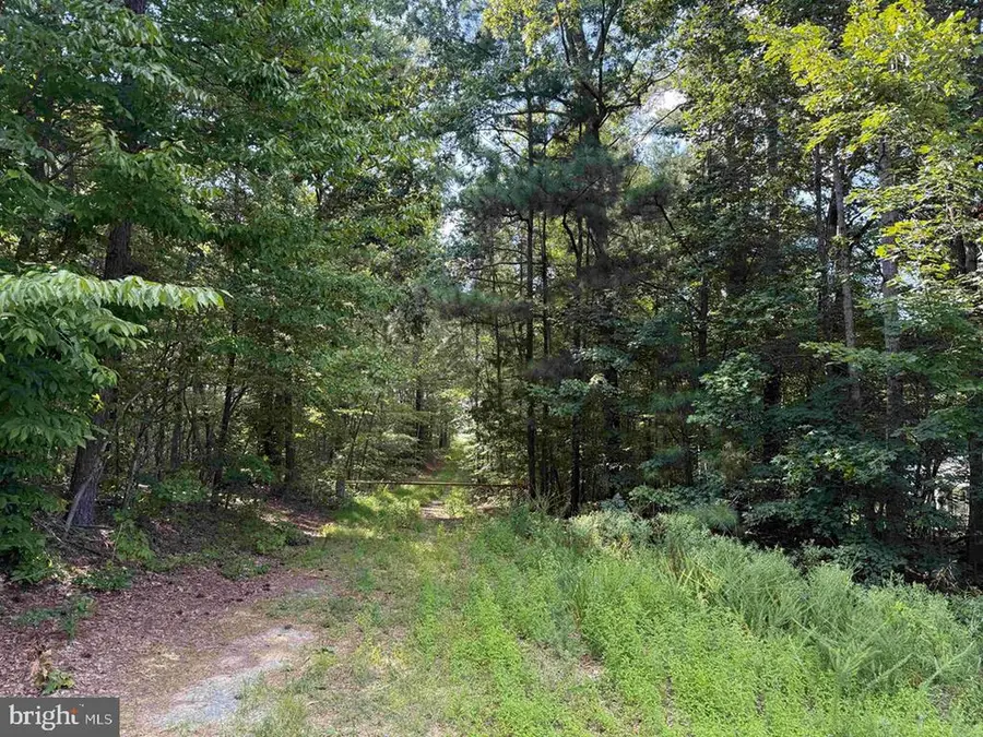 Dogwood Drive (tract: Jr Bedford-bowles_sims-3), Columbia, VA 23038 - #3