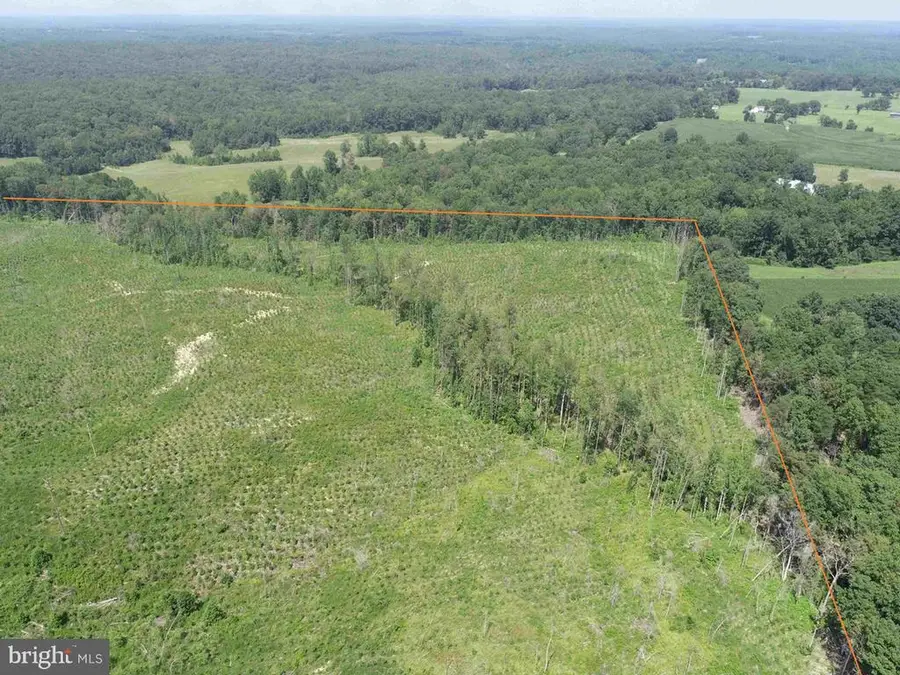 Bremo Road (tract: Jr Barnes Dillion), Bremo Bluff, VA 23022 - #3