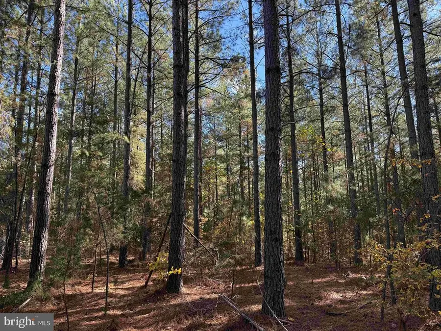 Off Of Shores Road (tract: Tanager Et2 2020), Scottsville, VA 24590 - #3