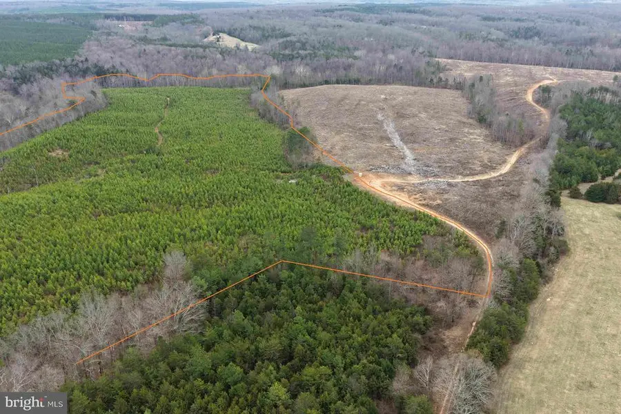 West River Road (tract: Jr C.b. Moon-2), Scottsville, VA 24590 - #3