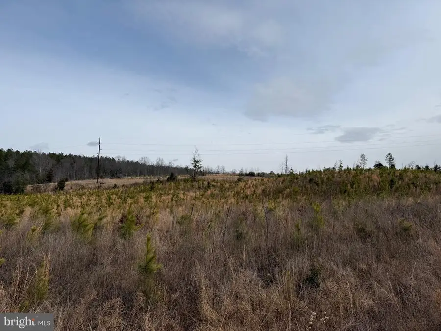 Community House Rd, Kents Store, VA 23084 - #2