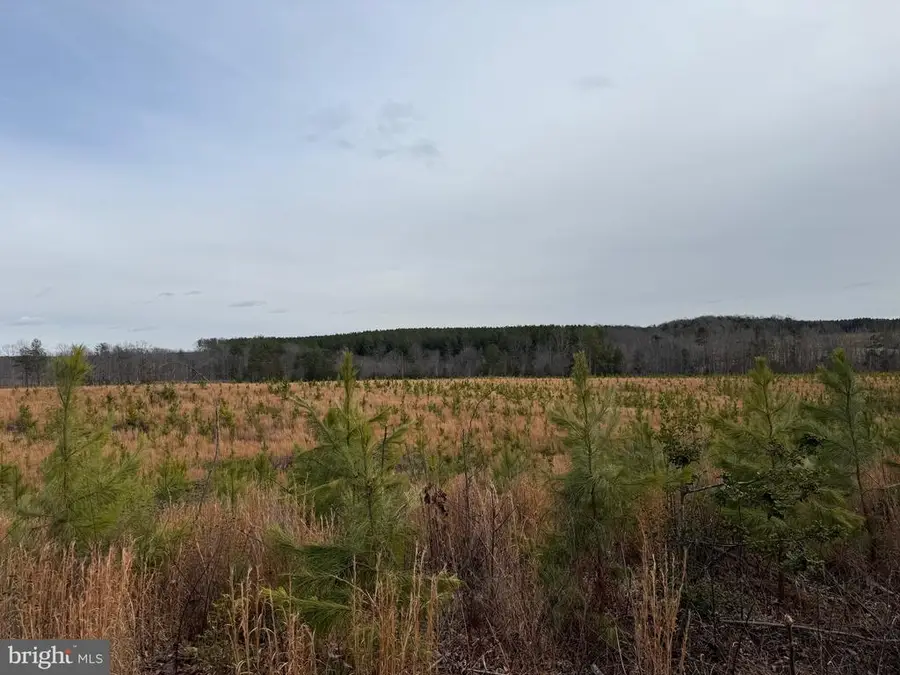 Community House Rd, Kents Store, VA 23084 - #3
