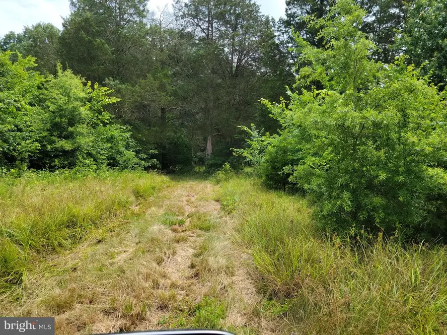 Unassigned, Midland, VA  - #2