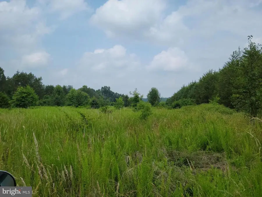 Unassigned, Midland, VA  - #3