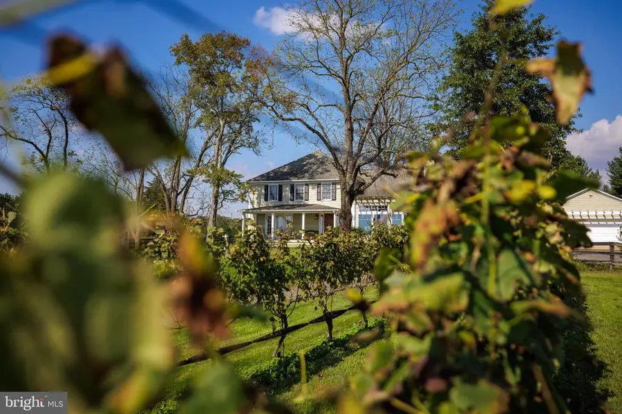 8105 Willboyd Ct, Marshall, VA  - #3