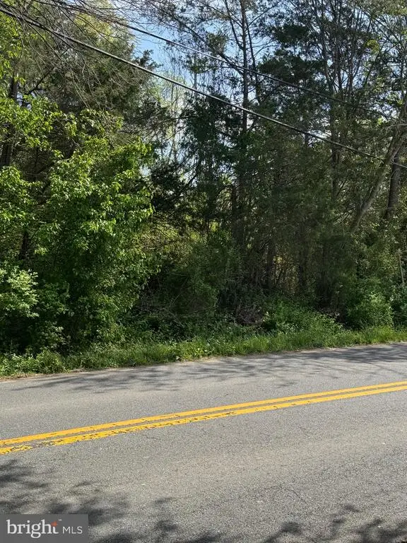 0 Duey, Remington, VA 22734 - #2