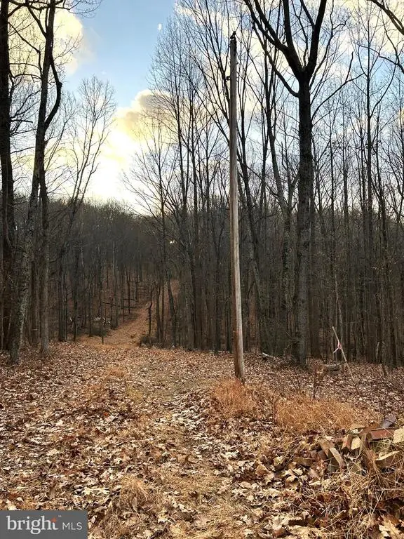 Snow Mountain Rd, Broad Run, VA  - Image #3