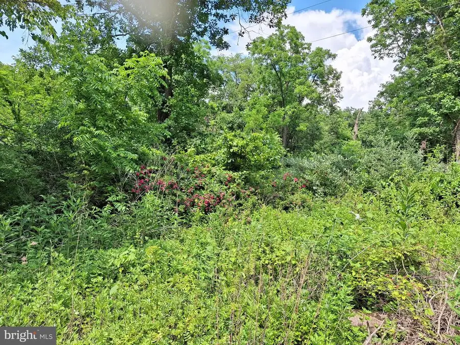 9499 Old Waterloo Rd, Warrenton, VA 20186 - #2