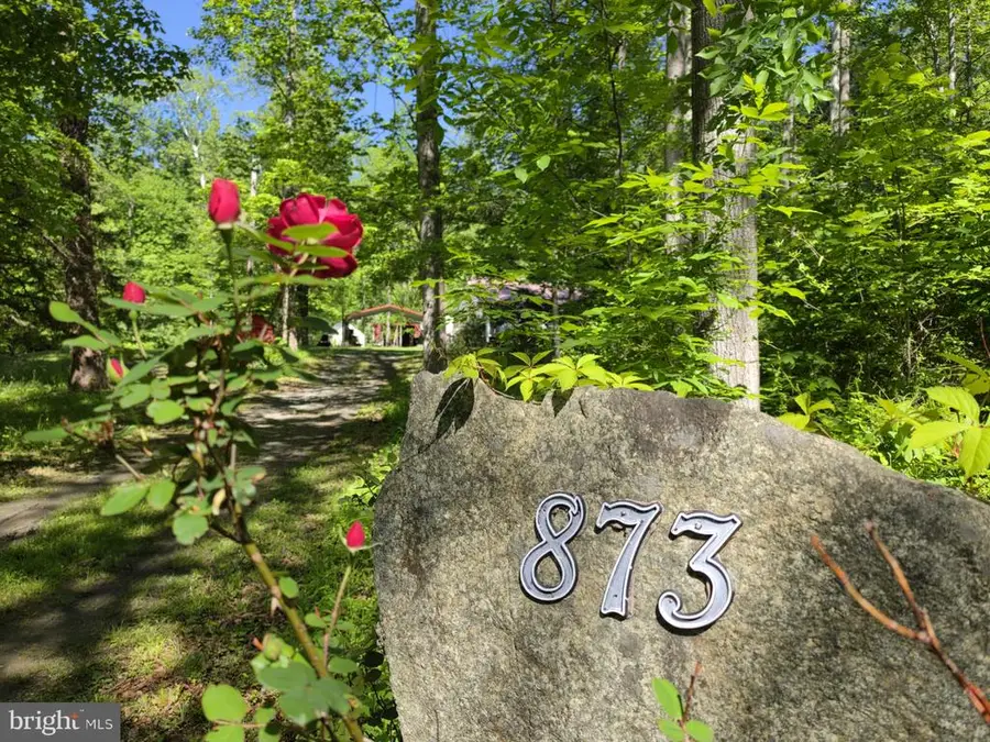 873 Entry Run Rd, Stanardsville, VA 22973 - #2