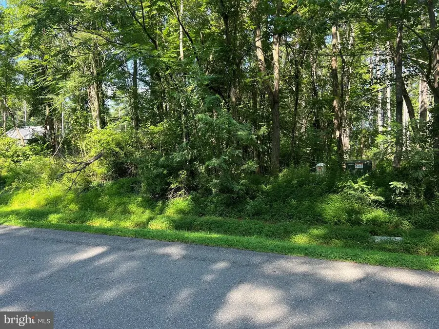 Lake Forest Drive, Mineral, VA 23117 - #3