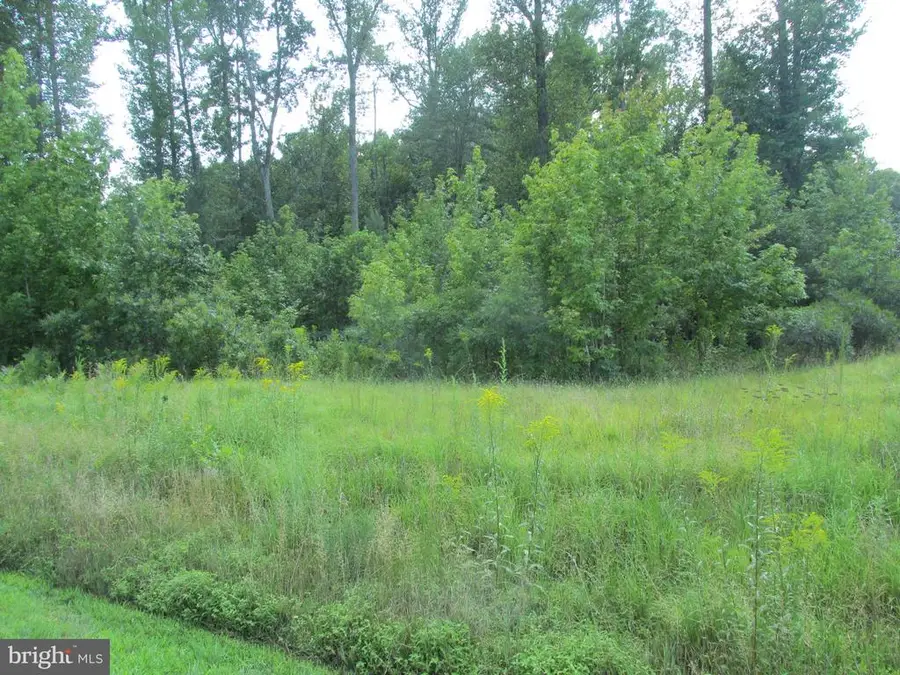 Blue Sky Way, Bumpass, VA 23024 - #3