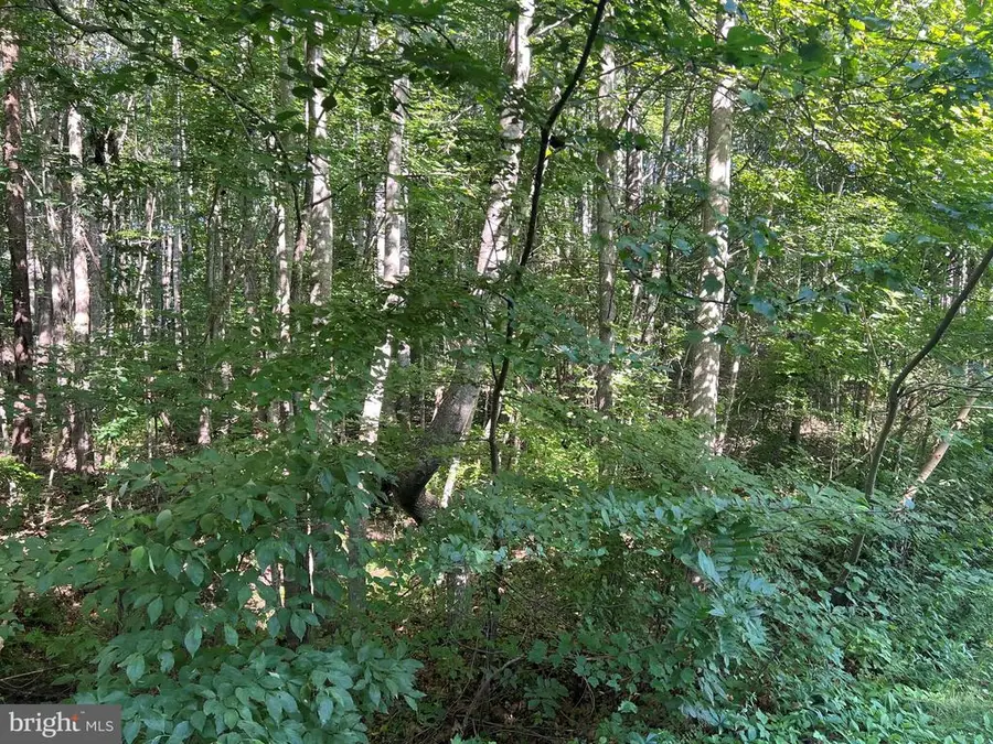 Overton Dr, Bumpass, VA 23024 - #3