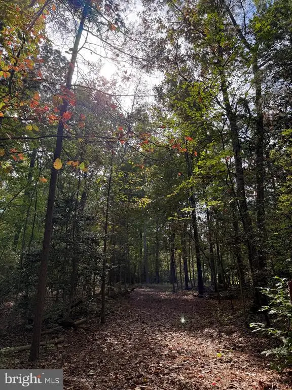 Turkey Trail, Mineral, VA 23117