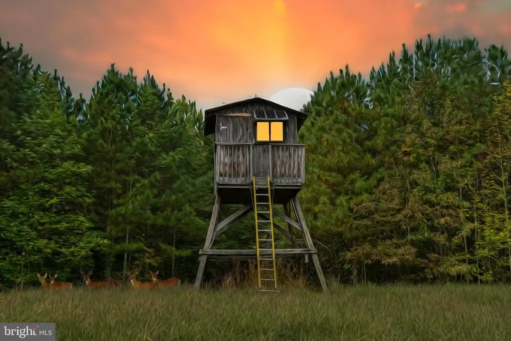 Cross Country Rd., Mineral, VA 23117 - #1