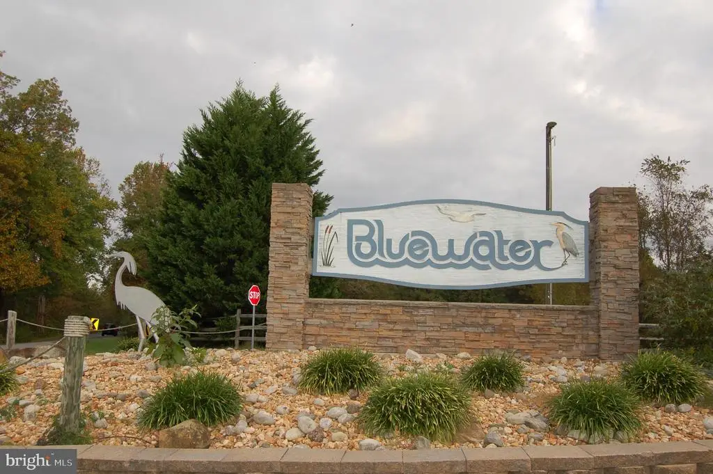 S Bluewater Blvd, Mineral, VA 23117 - #1