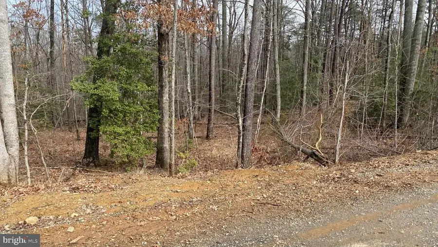 Chopping Rd, Mineral, VA 23117 - #3