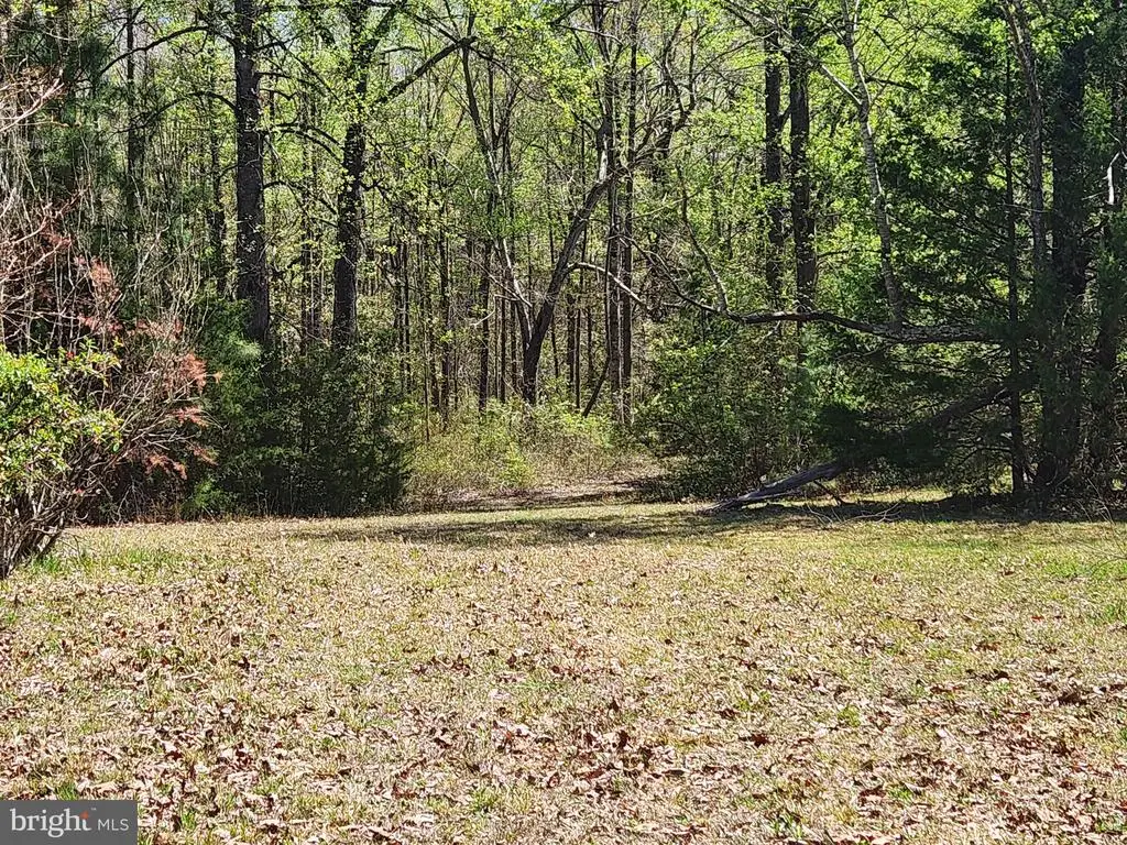 3618 Johnson Rd, Mineral, VA 23117 - #1
