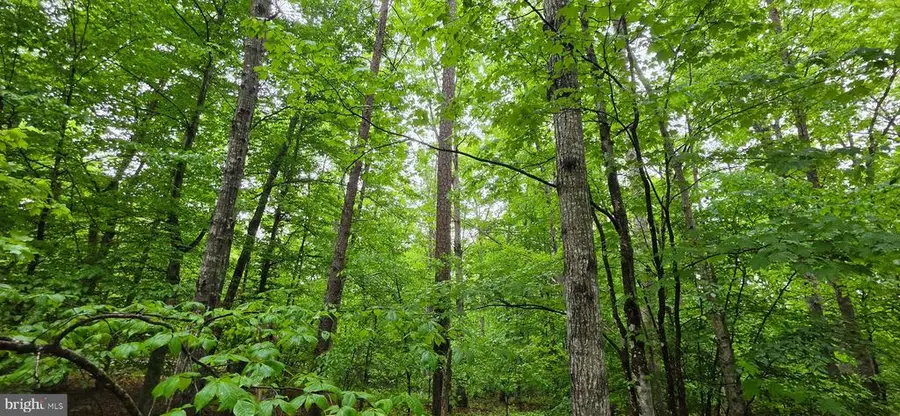 Glen Eagles, Gordonsville, VA 22942 - #3