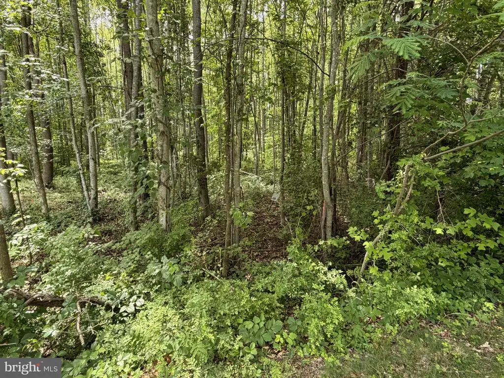 Overton Dr, Bumpass, VA 23024 - #1