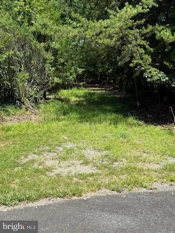 Madeline Lane, Mineral, VA 23117 - #1