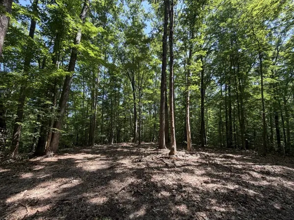 Parrish Rd, Louisa, VA 23093