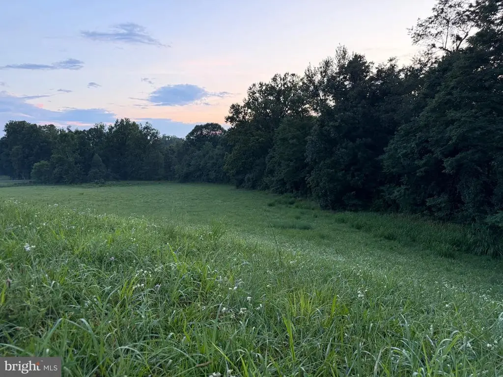 0 Novum Rd, Reva, VA 22735 - #1