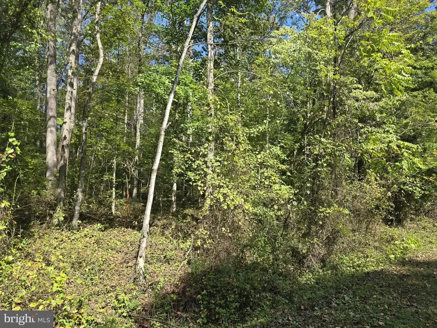 Poorhouse Rd, Madison, VA 22727 - #2