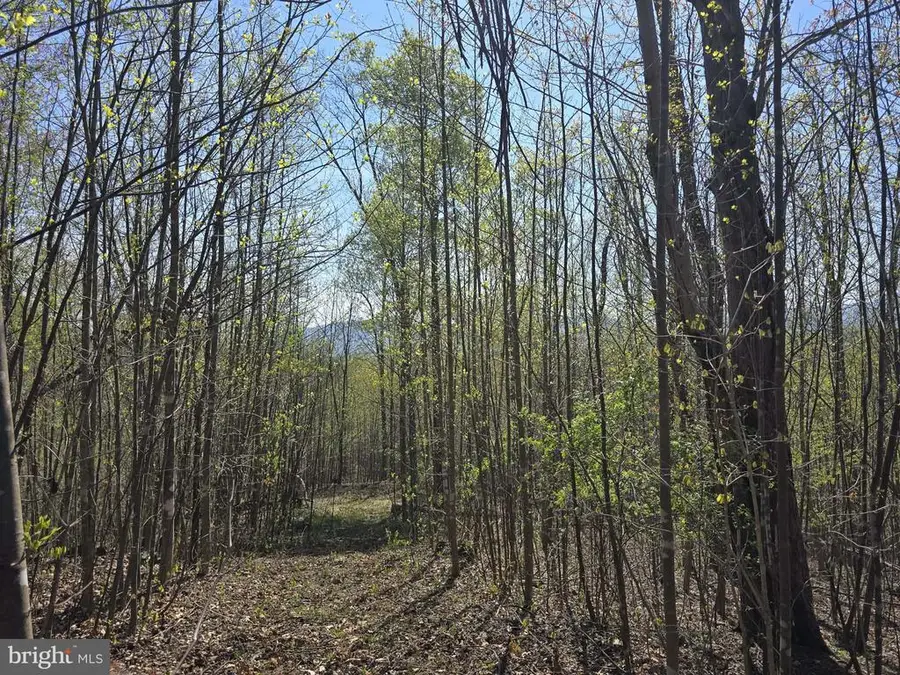 S Ft Valley Rd, Madison, VA 22727 - #2