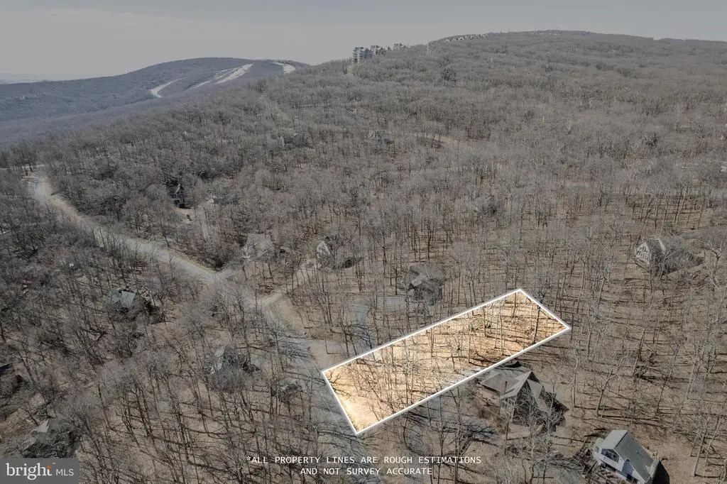 688 Shamokin Springs Trl Trl, Nellysford, VA 22958 - Image #1