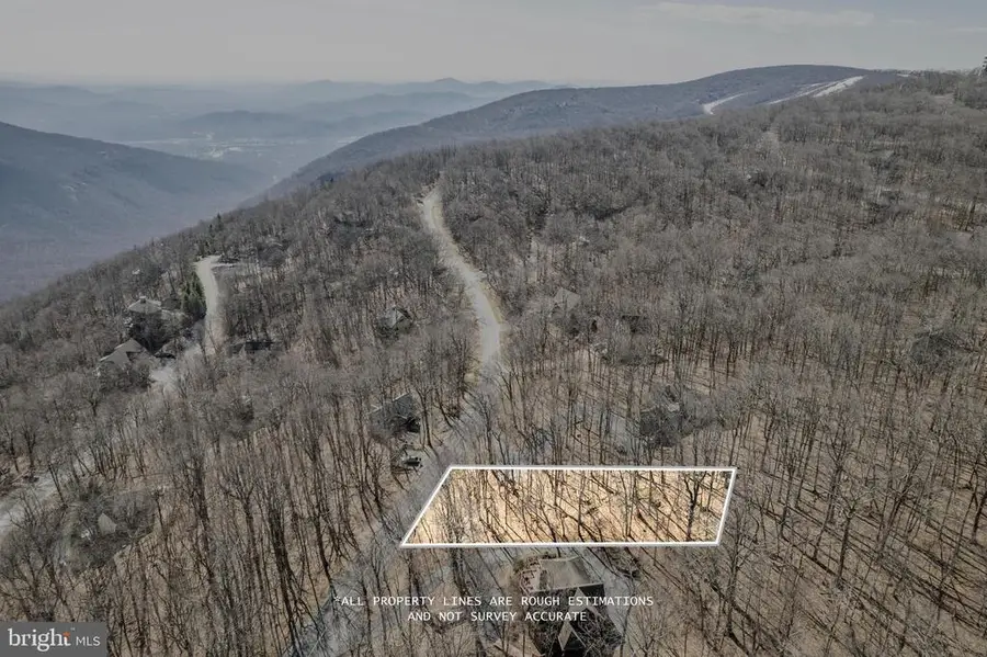 688 Shamokin Springs Trl Trl, Nellysford, VA 22958 - Image #3