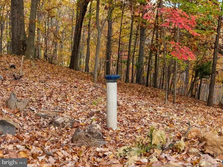 Treehouse Pl, Nellysford, VA 22958 - #2