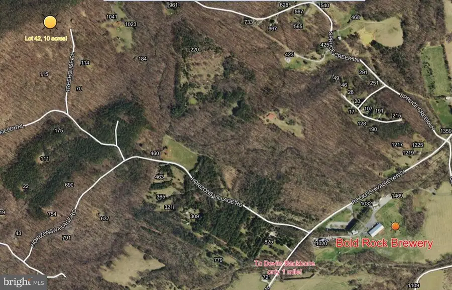 Treehouse Pl, Nellysford, VA 22958 - #3