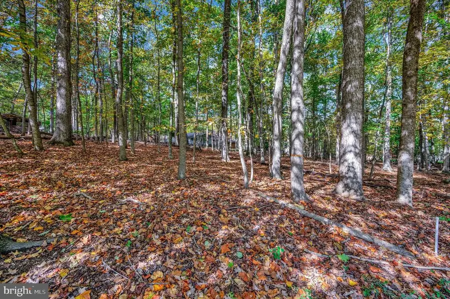 107 Gold Valley Rd, Locust Grove, VA 22508 - #2