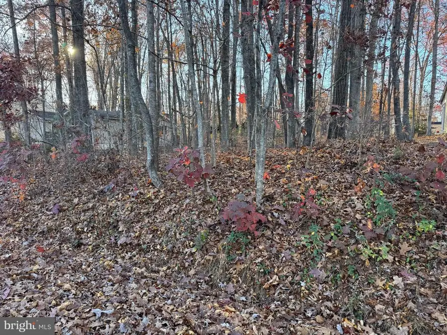 106 Monument Rd, Locust Grove, VA 22508 - #2