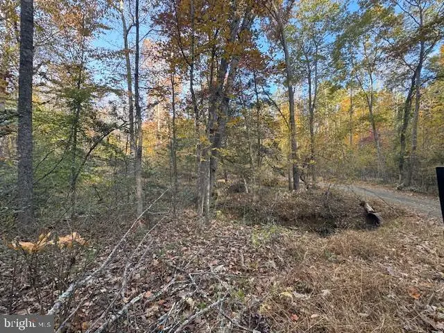 31078 Old Office Rd Lot 1, Locust Grove, VA 22508 - #3