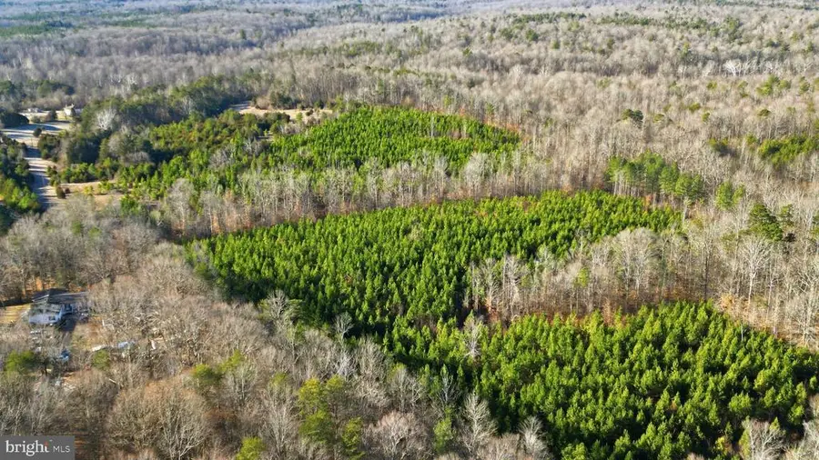 15284 Poplar Rd, Orange, VA 22960 - #3