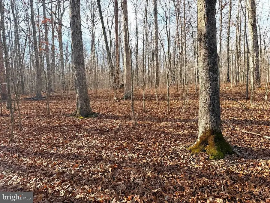 R/w Off Justice Dr, Orange, VA 22960 - #3