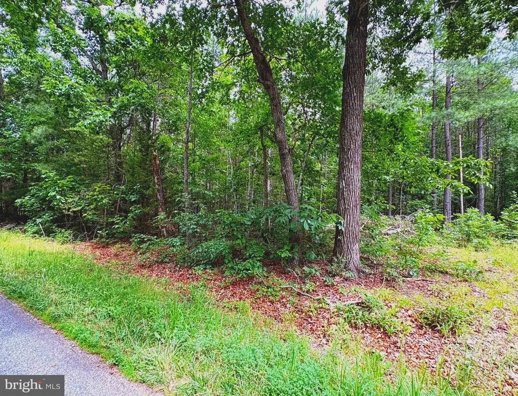 Governor Almond Rd, Locust Grove, VA 22508 - #1