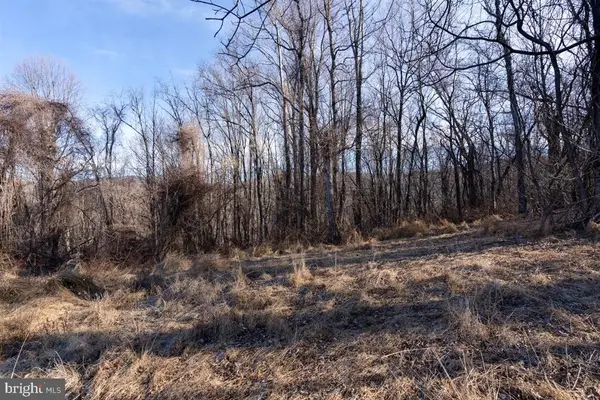 Overlook Mountain, Elkton, VA 22827