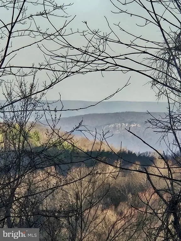 0 Hillside Dr., Stanley, VA 22851 - #2