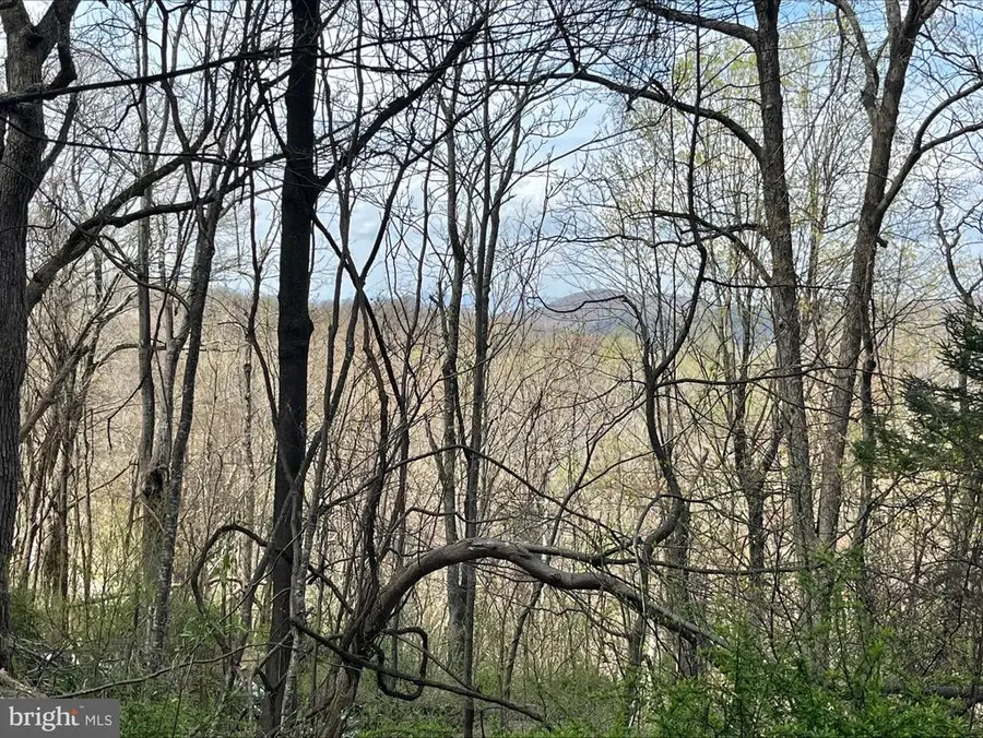 0 Hillside Dr., Stanley, VA 22851 - #3