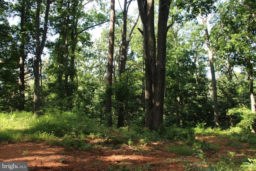 Baxter Dr, Stanley, VA 22851 - #2