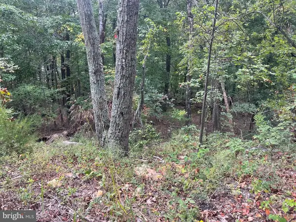 Panorama View, Stanley, VA 22851