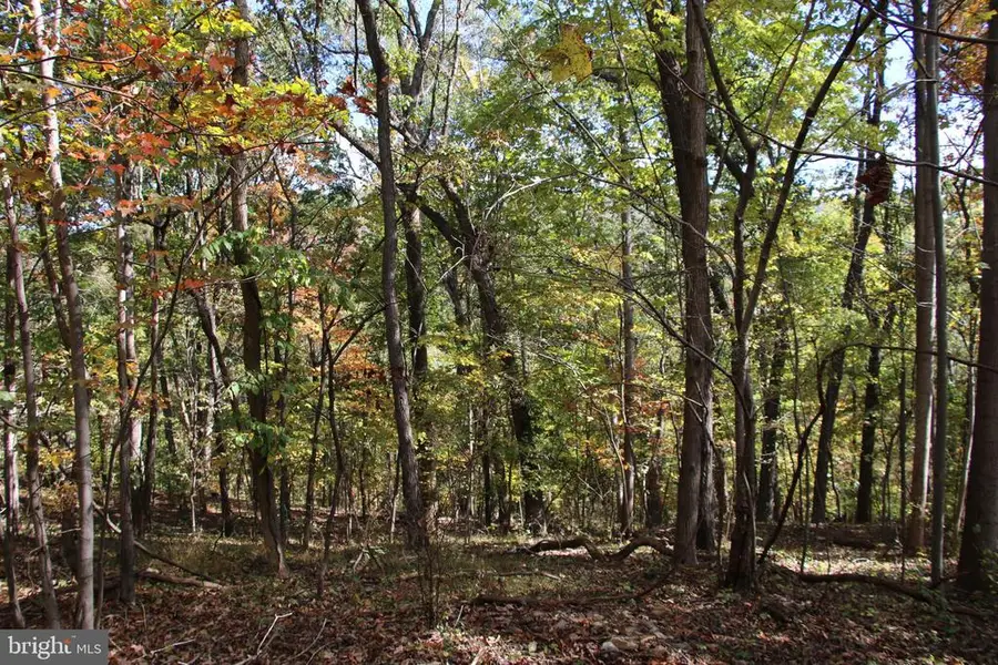 River View Pl, Shenandoah, VA 22849 - #2