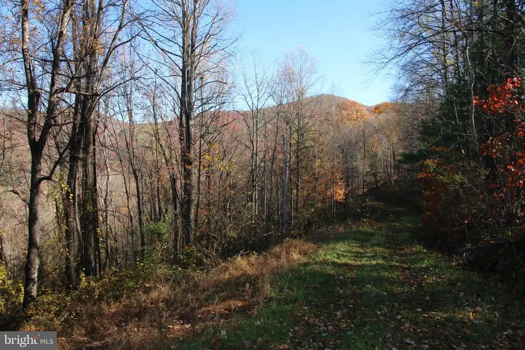 Overlook Mountain Rd, Elkton, VA 22827 - #1