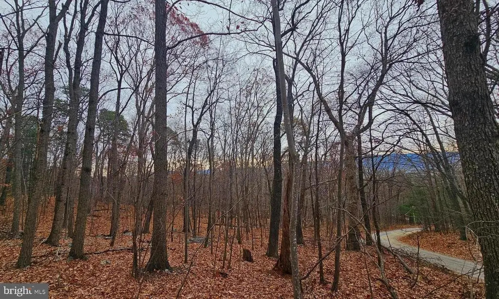 Forest Drive Ext, Luray, VA 22835 - #1