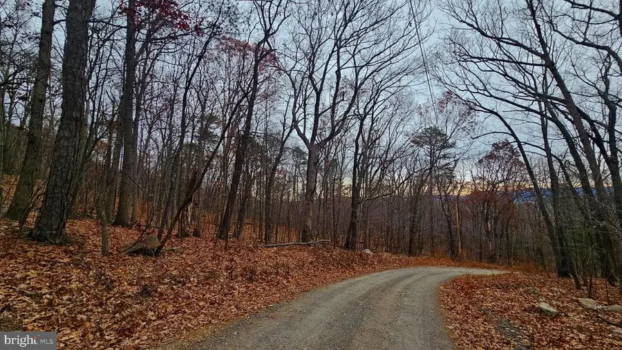 Forest Drive Ext, Luray, VA 22835 - #2