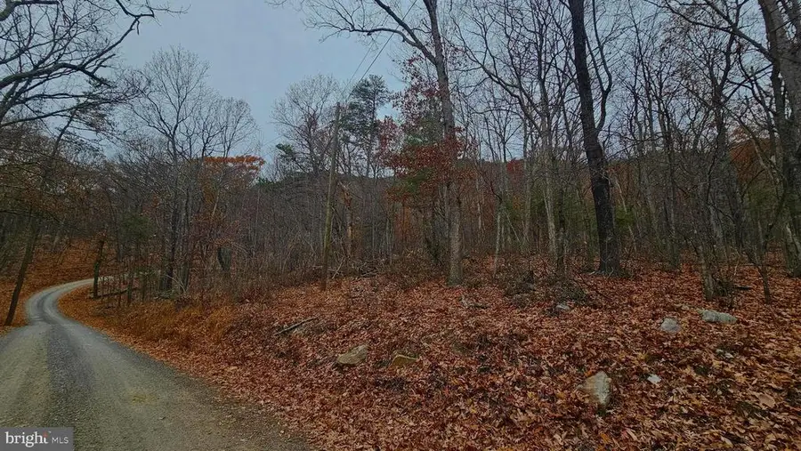 Forest Drive Ext, Luray, VA 22835 - #3