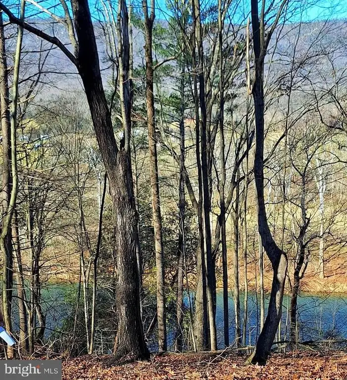 Lot 10 Kauffmans Mill Rd, Luray, VA 22835 - #3