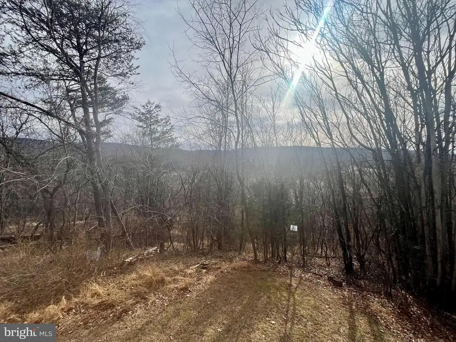 305 Rickard Pl, Rileyville, VA 22650 - #3